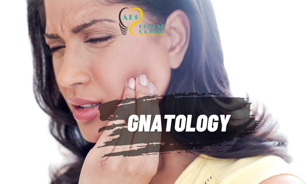 Gnathology: TMJ Disorders, Bruxism and Splint Therapy